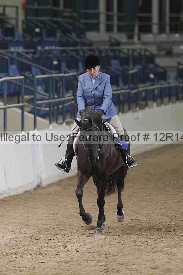 Proof Number 12r14_5896
