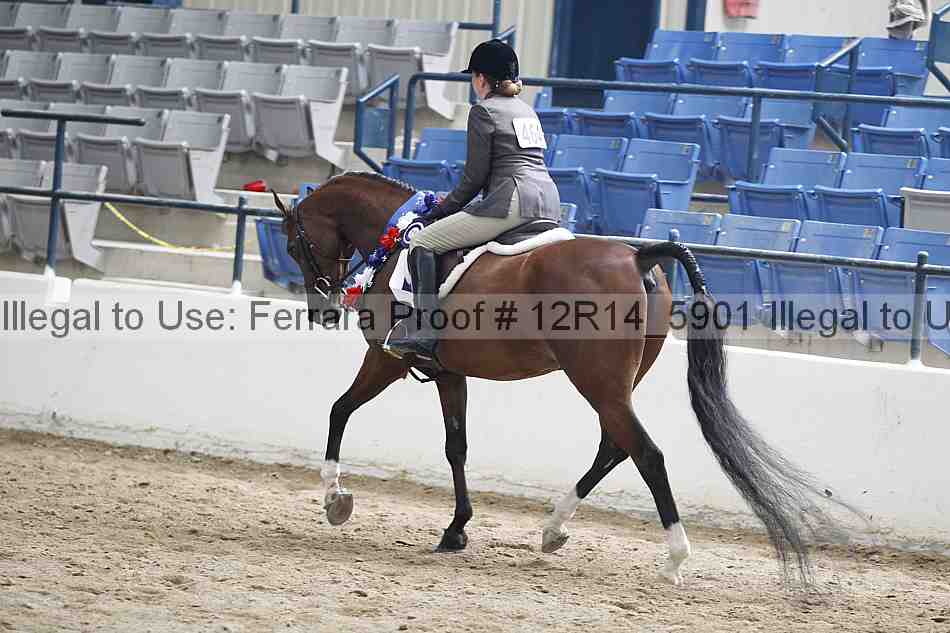 Proof Number 12r14_5901