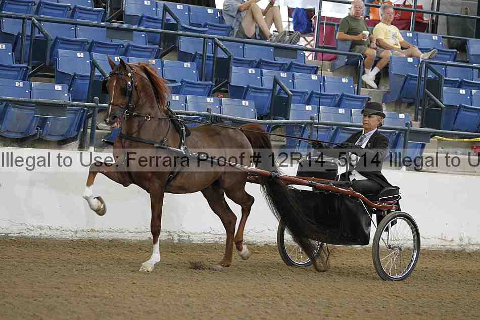 Proof Number 12r14_5914