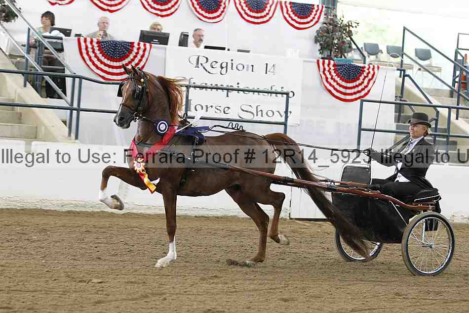 Proof Number 12r14_5923