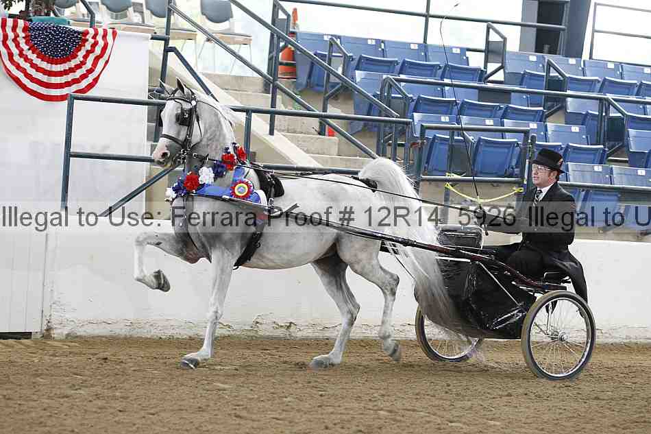 Proof Number 12r14_5926