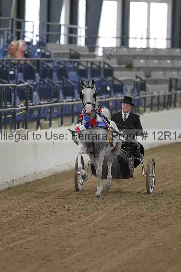 Proof Number 12r14_5930