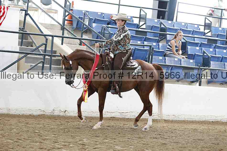 Proof Number 12r14_5966