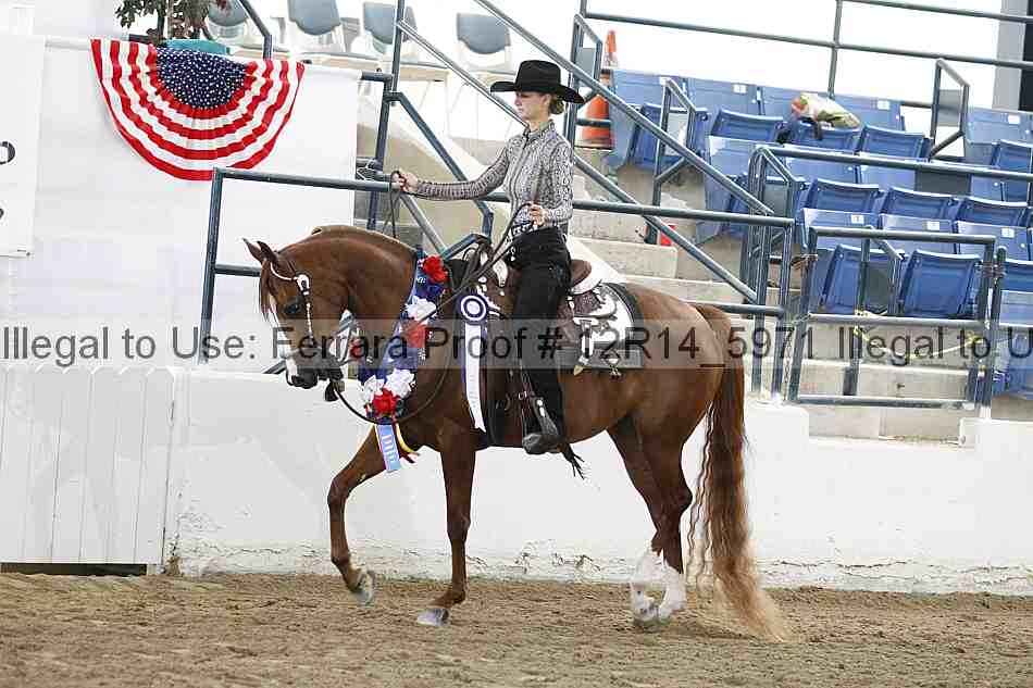 Proof Number 12r14_5971