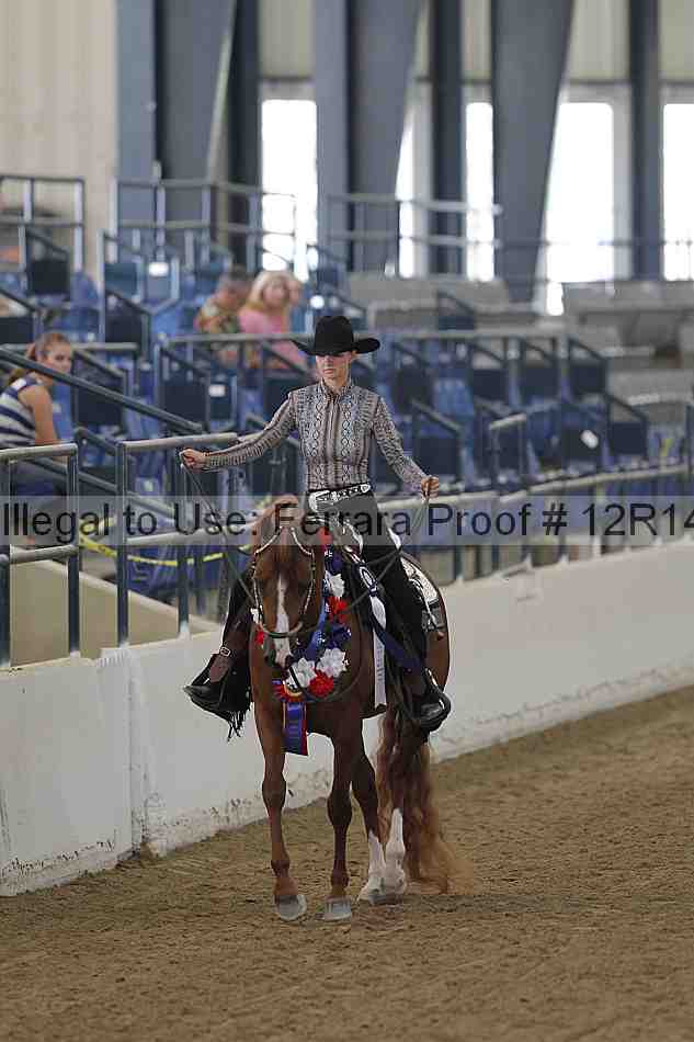 Proof Number 12r14_5976