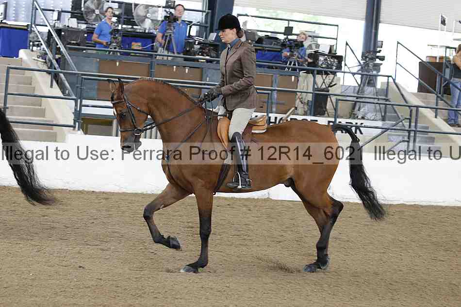 Proof Number 12r14_6021