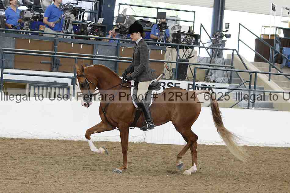 Proof Number 12r14_6025
