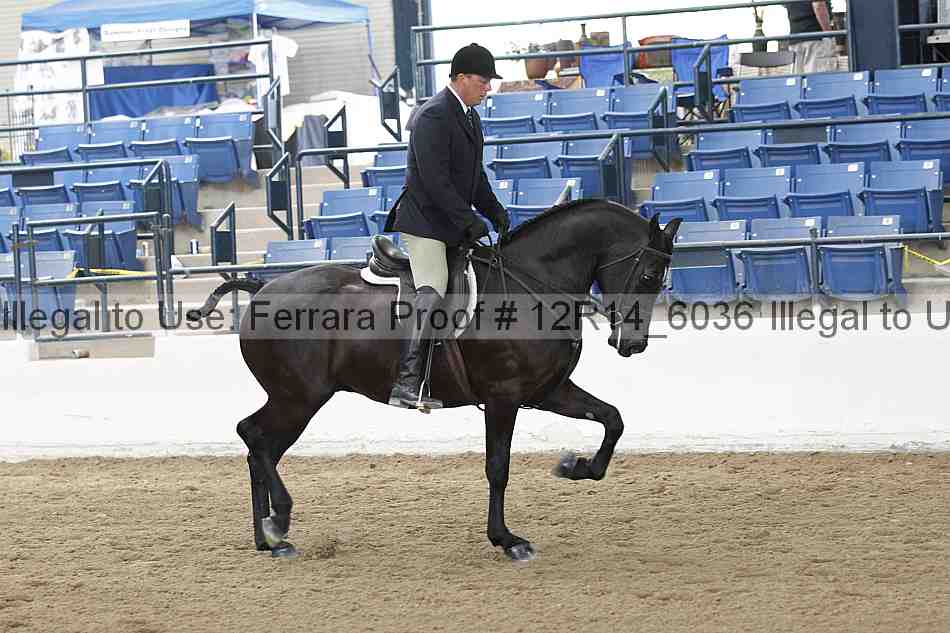 Proof Number 12r14_6036