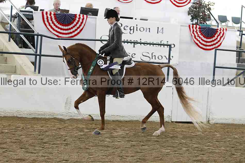 Proof Number 12r14_6046