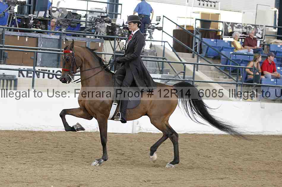 Proof Number 12r14_6085