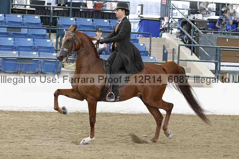 Proof Number 12r14_6087