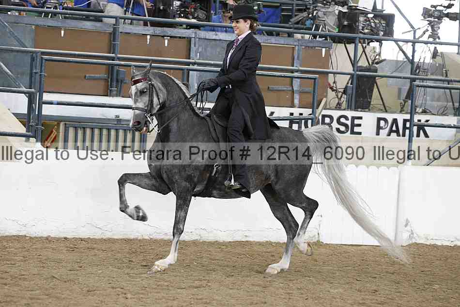 Proof Number 12r14_6090
