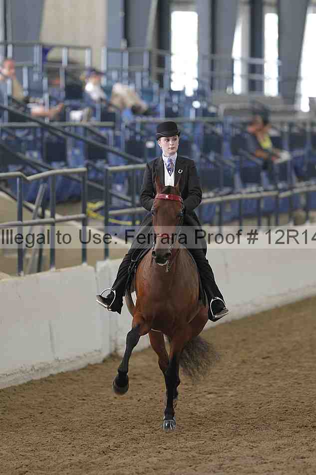 Proof Number 12r14_6094