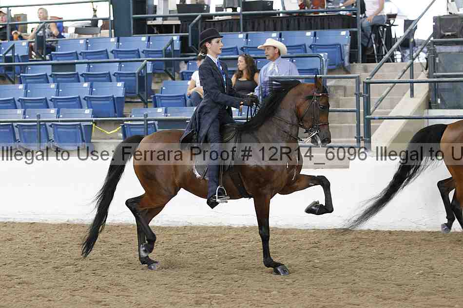 Proof Number 12r14_6096