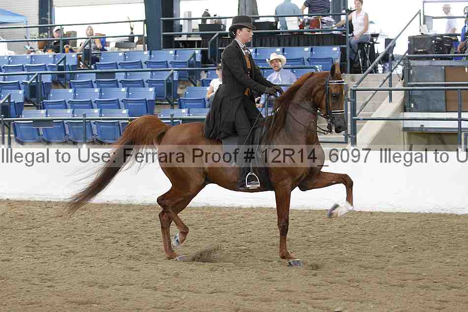 Proof Number 12r14_6097