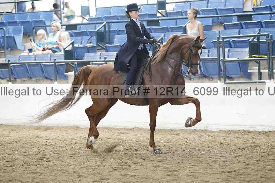 Proof Number 12r14_6099
