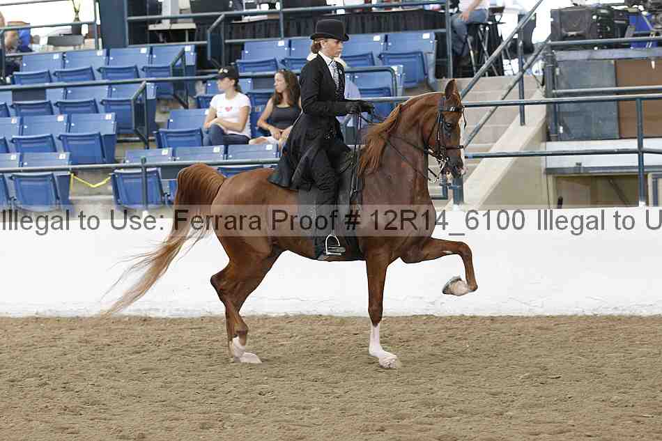 Proof Number 12r14_6100