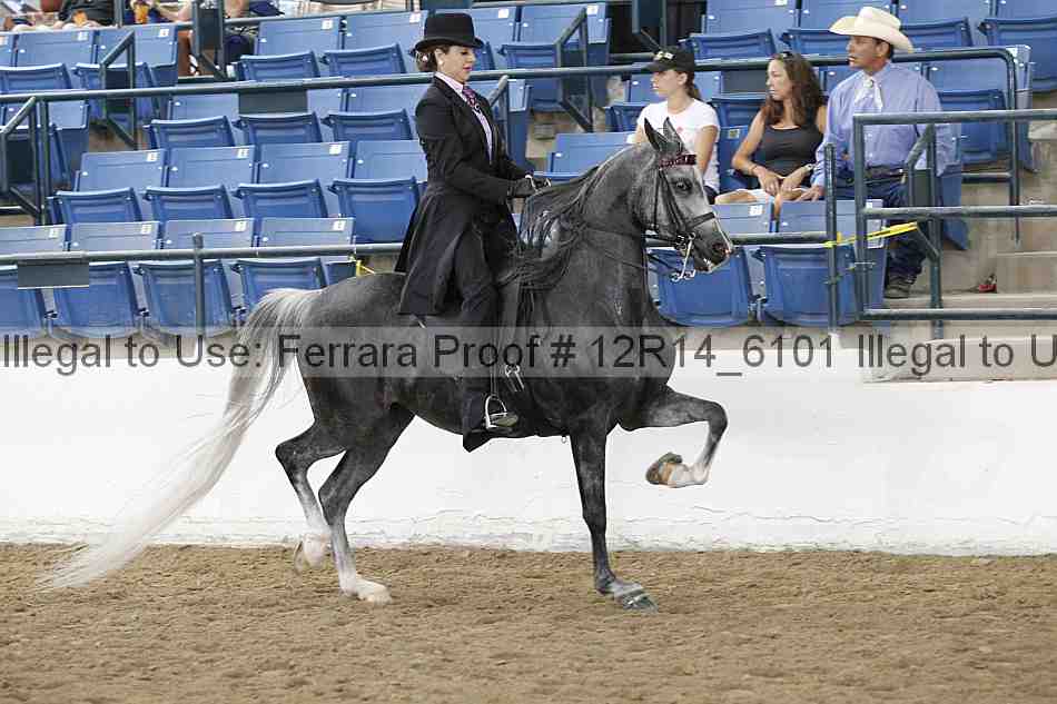 Proof Number 12r14_6101