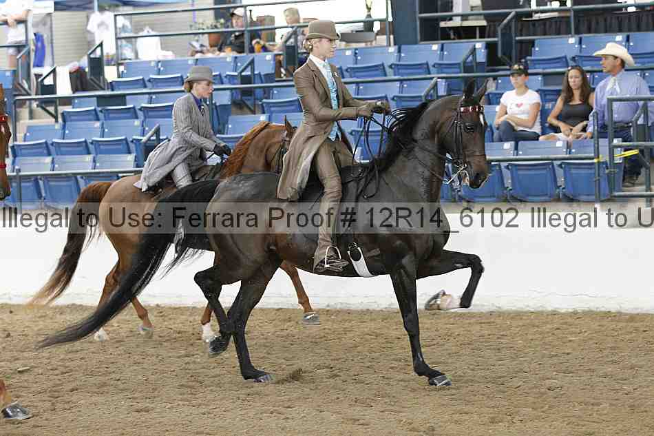 Proof Number 12r14_6102