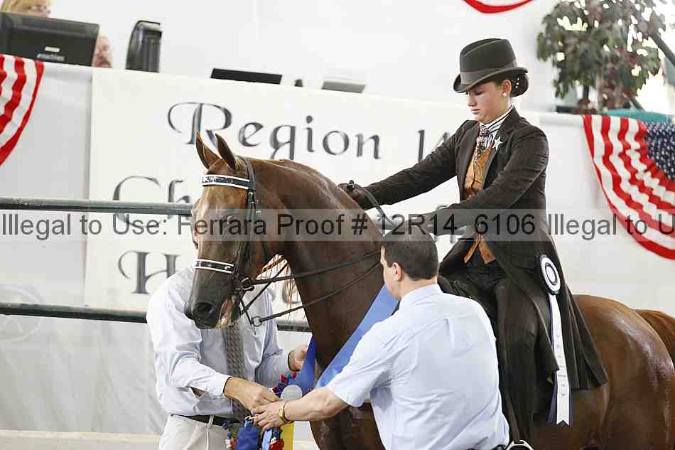 Proof Number 12r14_6106