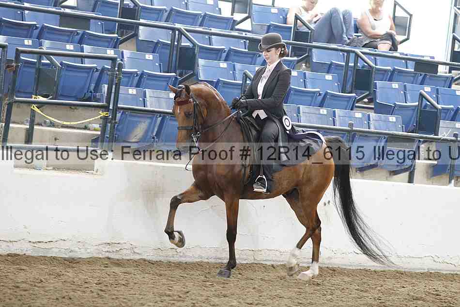 Proof Number 12r14_6115