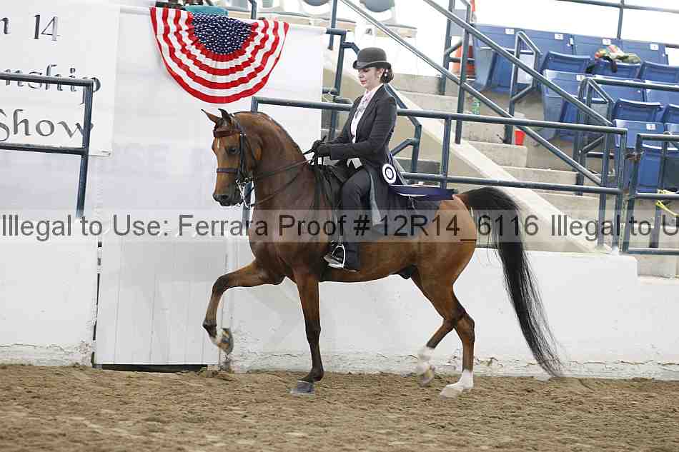 Proof Number 12r14_6116