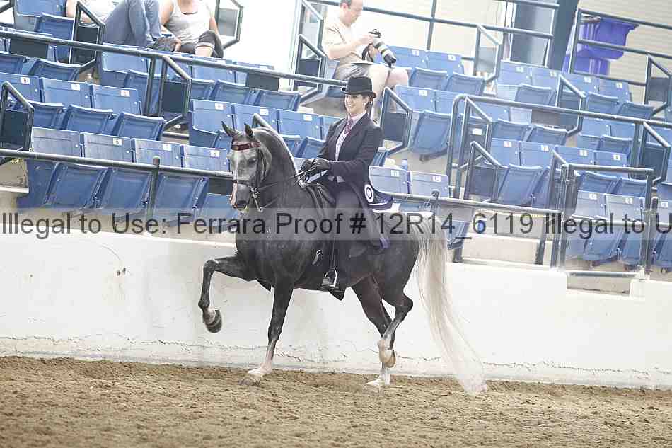 Proof Number 12r14_6119