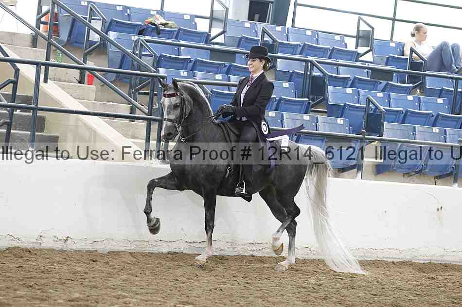 Proof Number 12r14_6121