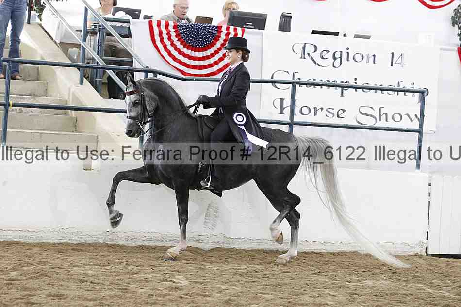 Proof Number 12r14_6122