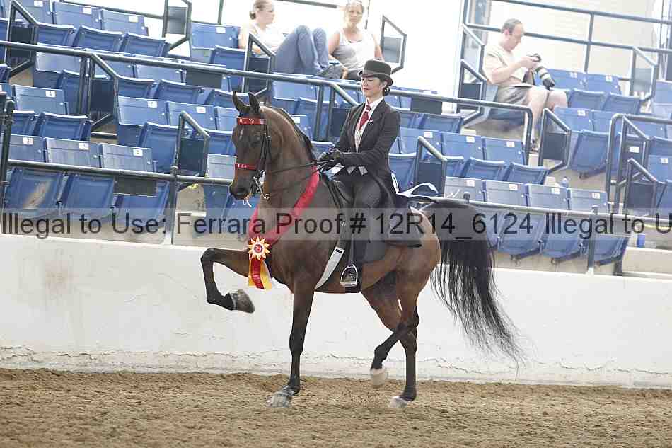 Proof Number 12r14_6124