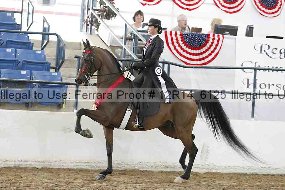 Proof Number 12r14_6125
