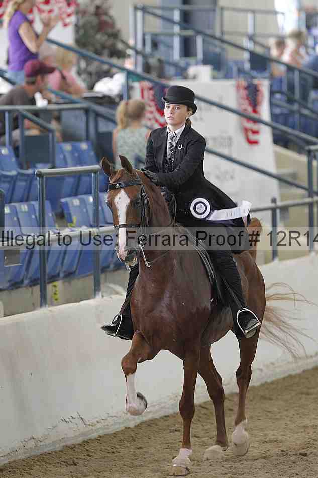 Proof Number 12r14_6129