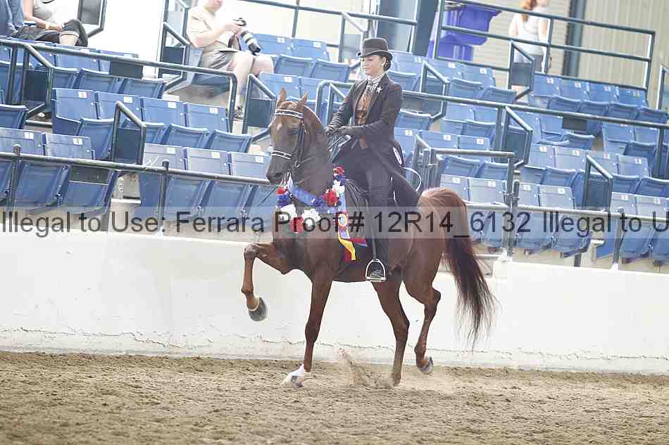 Proof Number 12r14_6132
