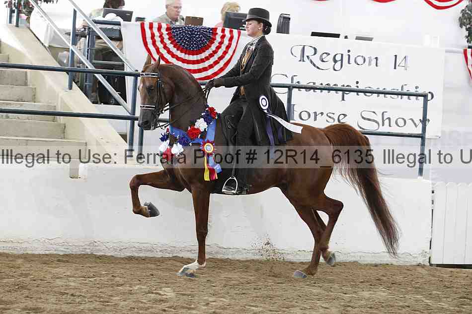 Proof Number 12r14_6135