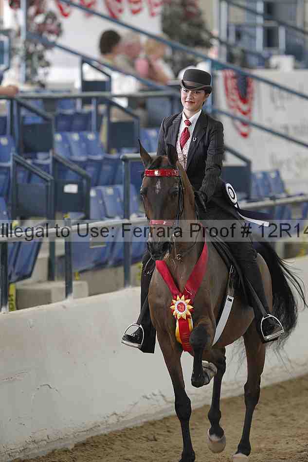 Proof Number 12r14_6138