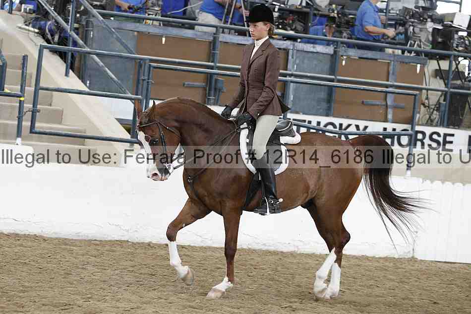Proof Number 12r14_6186