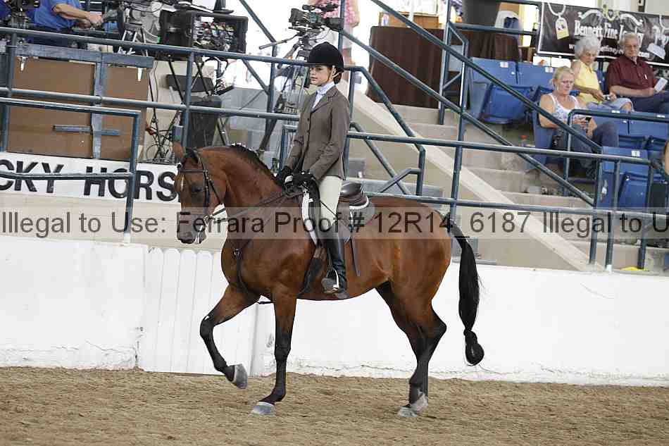 Proof Number 12r14_6187