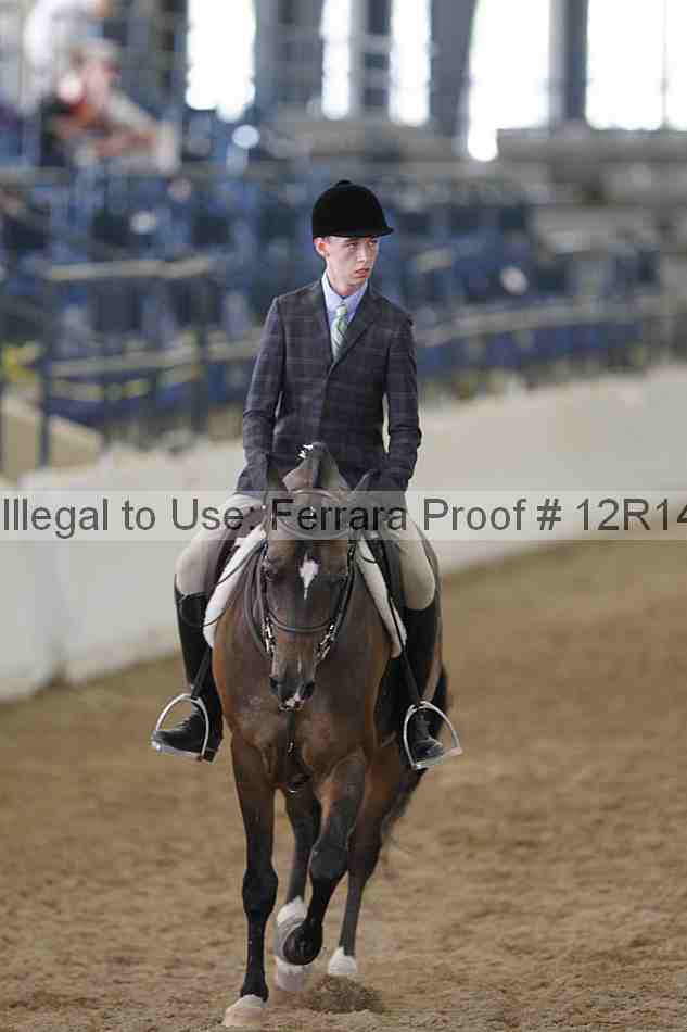 Proof Number 12r14_6195