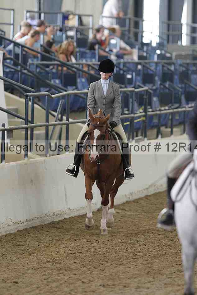 Proof Number 12r14_6205