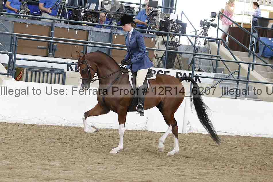 Proof Number 12r14_6207