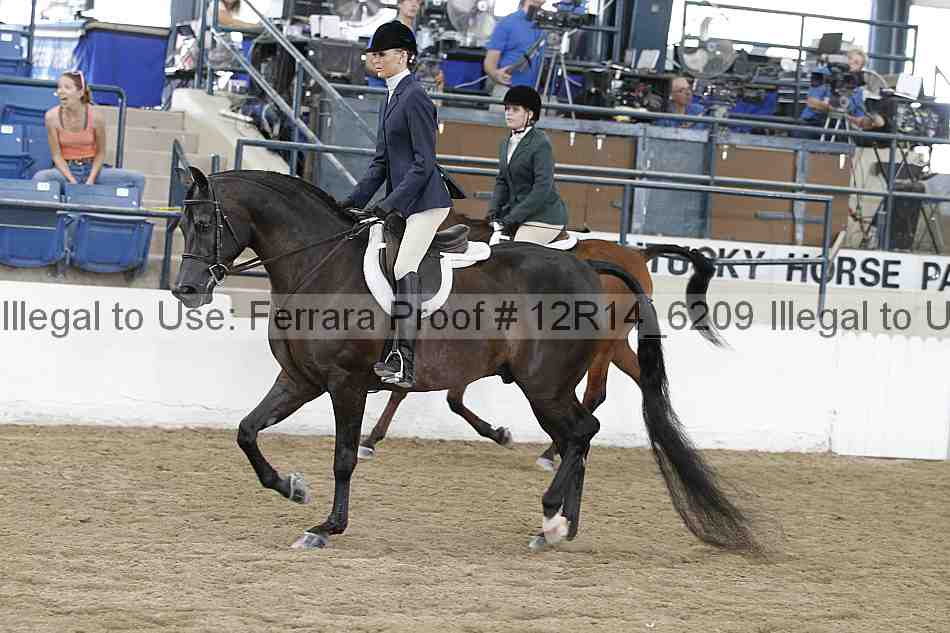 Proof Number 12r14_6209
