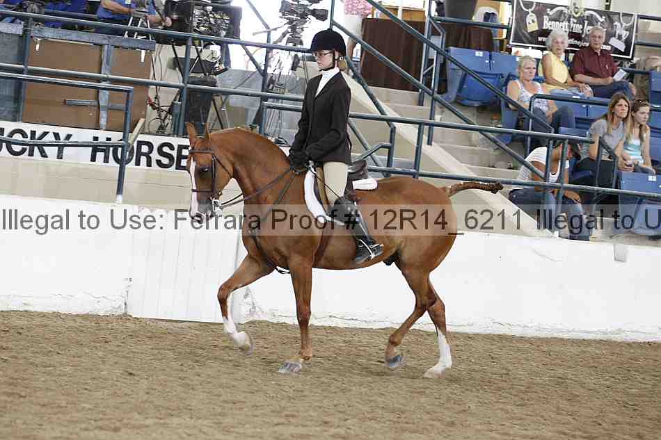 Proof Number 12r14_6211