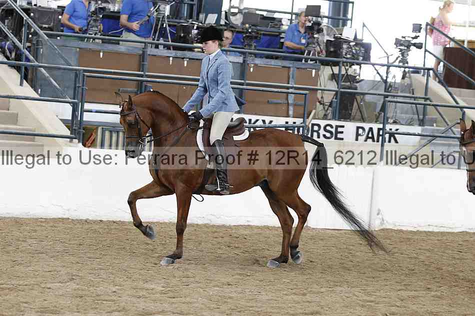Proof Number 12r14_6212