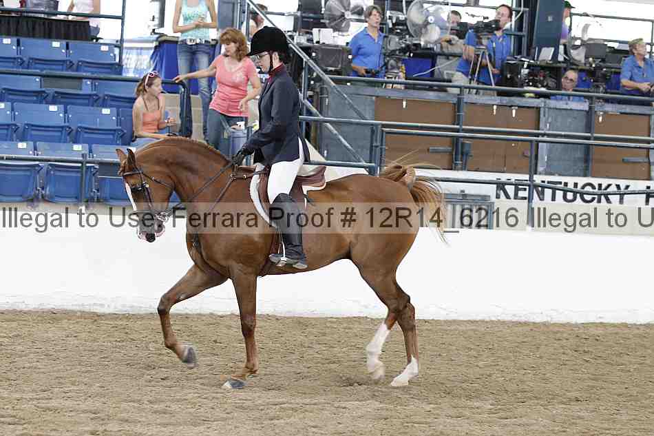 Proof Number 12r14_6216