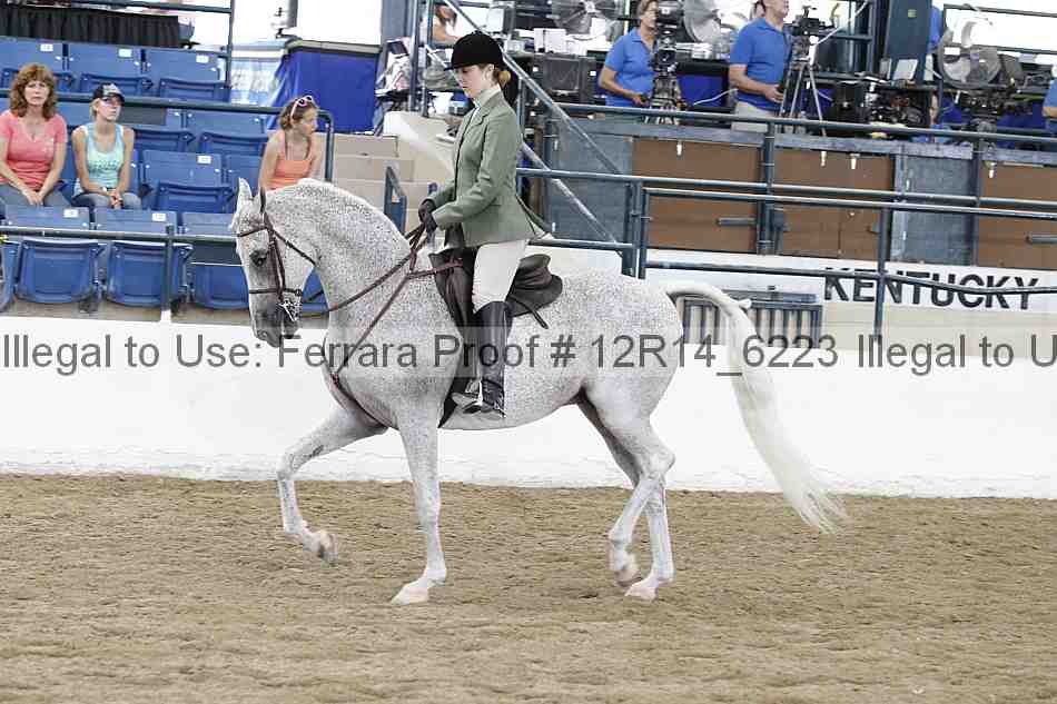 Proof Number 12r14_6223
