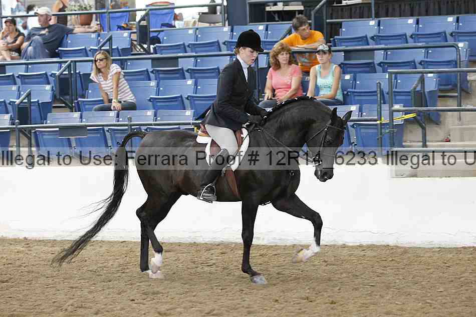 Proof Number 12r14_6233