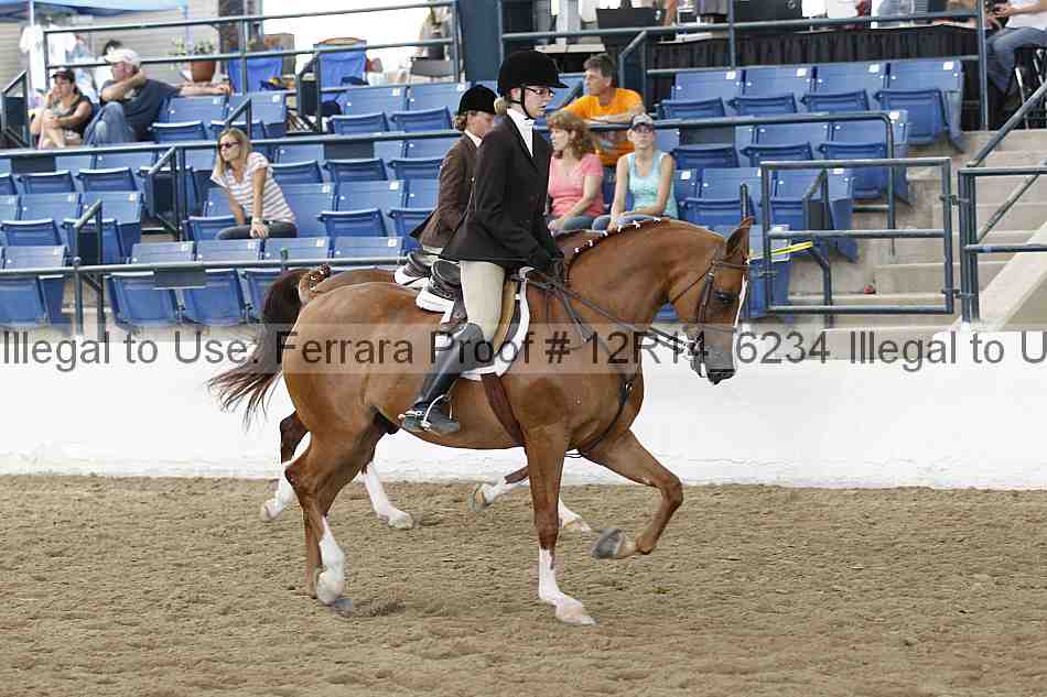 Proof Number 12r14_6234