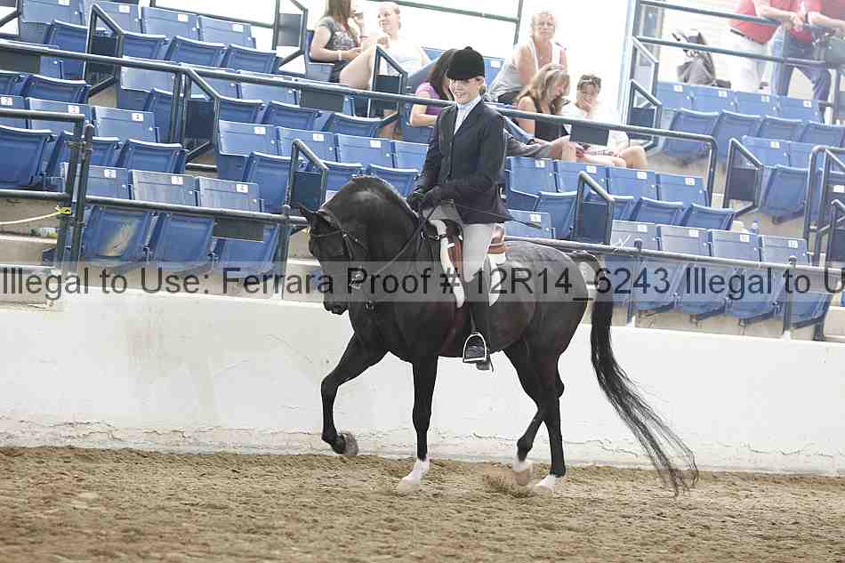 Proof Number 12r14_6243