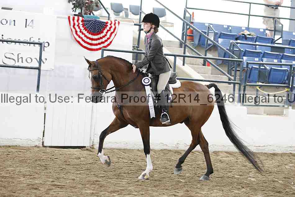 Proof Number 12r14_6246