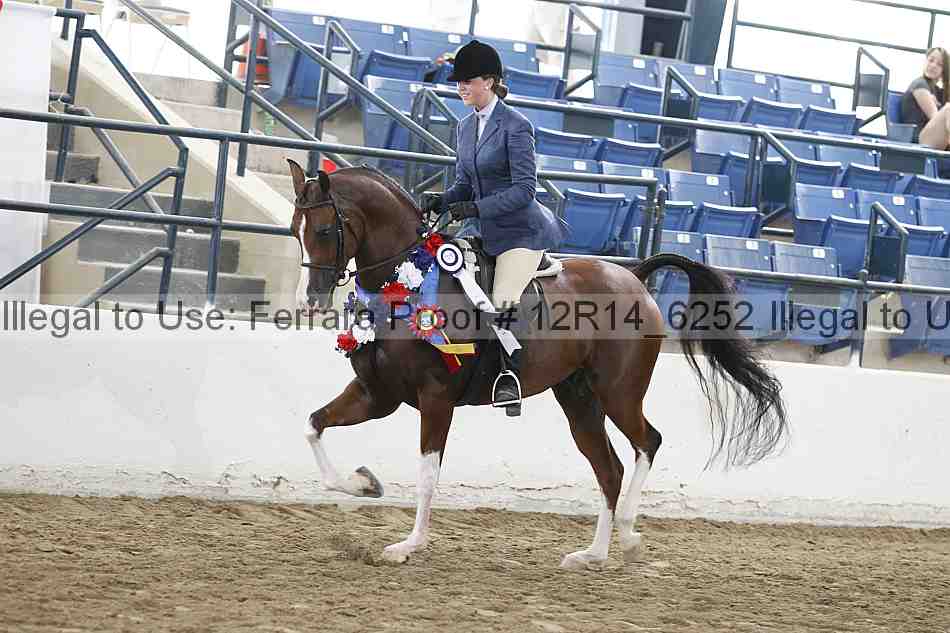Proof Number 12r14_6252